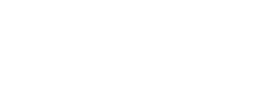 Debbie Crawford logo white on transparent background